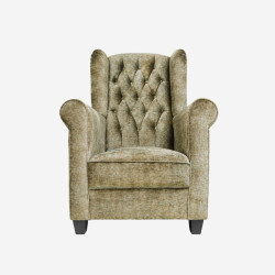 Kathia Wing Chair - Helloilmare